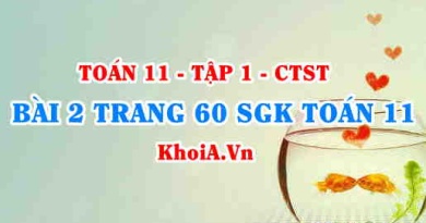 Bài 2 trang 60 SGK Toán 11 Tập 1 Chân trời sáng tạo